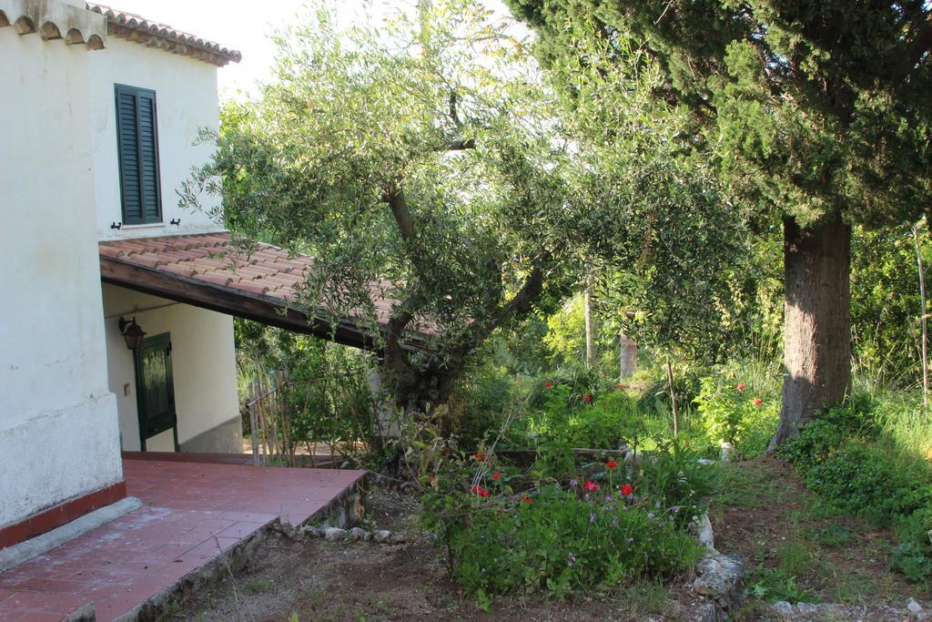 Tenuta Conte Ruggero Santa Domenica  Værelse billede